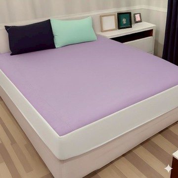 14B609_負離子床包(雙人標準(5*6.2尺)   (150*186CM))/紫羅蘭(灰邊)(送除毛球機)(送500ml 洗劑X1)