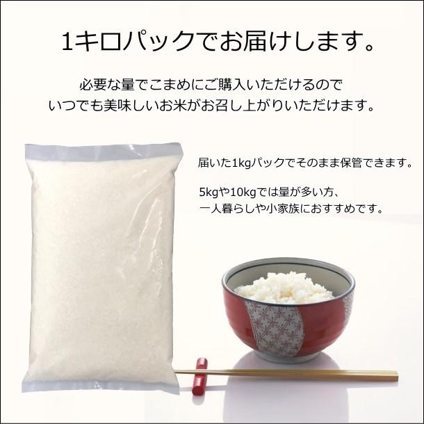 コシヒカリ 1キロ 減農薬米 無洗米 新潟米 1kg  お米 新潟産 産地直送 米 コメ