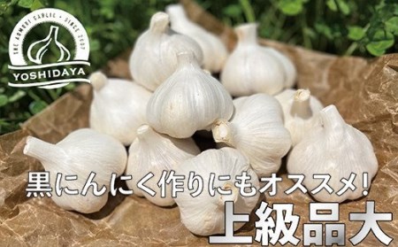 青森県産「にんにく・福地ホワイト種」　大サイズ・800g