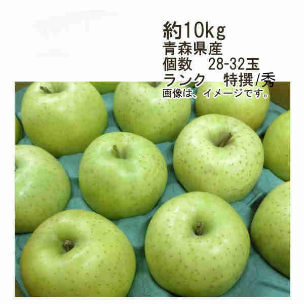 送料無料 王林 りんご 青森県産 約10kg 個数 28-32玉 ランク 特選 秀