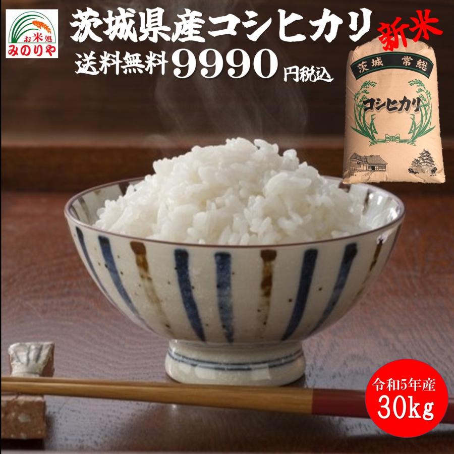 新米 コシヒカリ 30kg 茨城県 玄米 - 食品