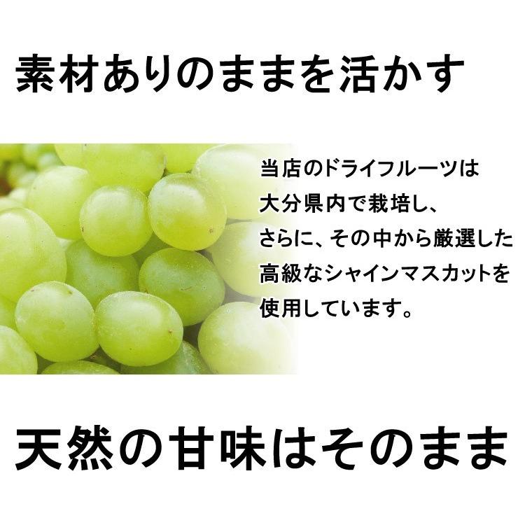 無添加 国産 ドライフルーツ 安心院干しぶどう シャインマスカット 35g レーズン 葡萄 ブドウ 砂糖不使用 産地直送 メール便 ドリームファーマーズ 送料無料