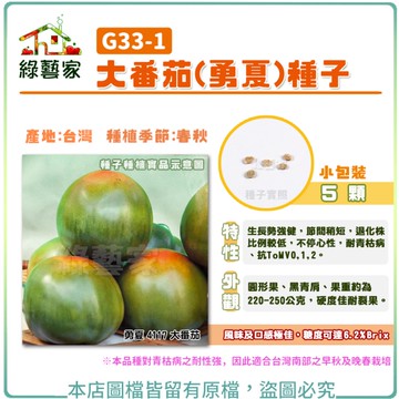 【綠藝家】G33-1大番茄(勇夏)種子5顆