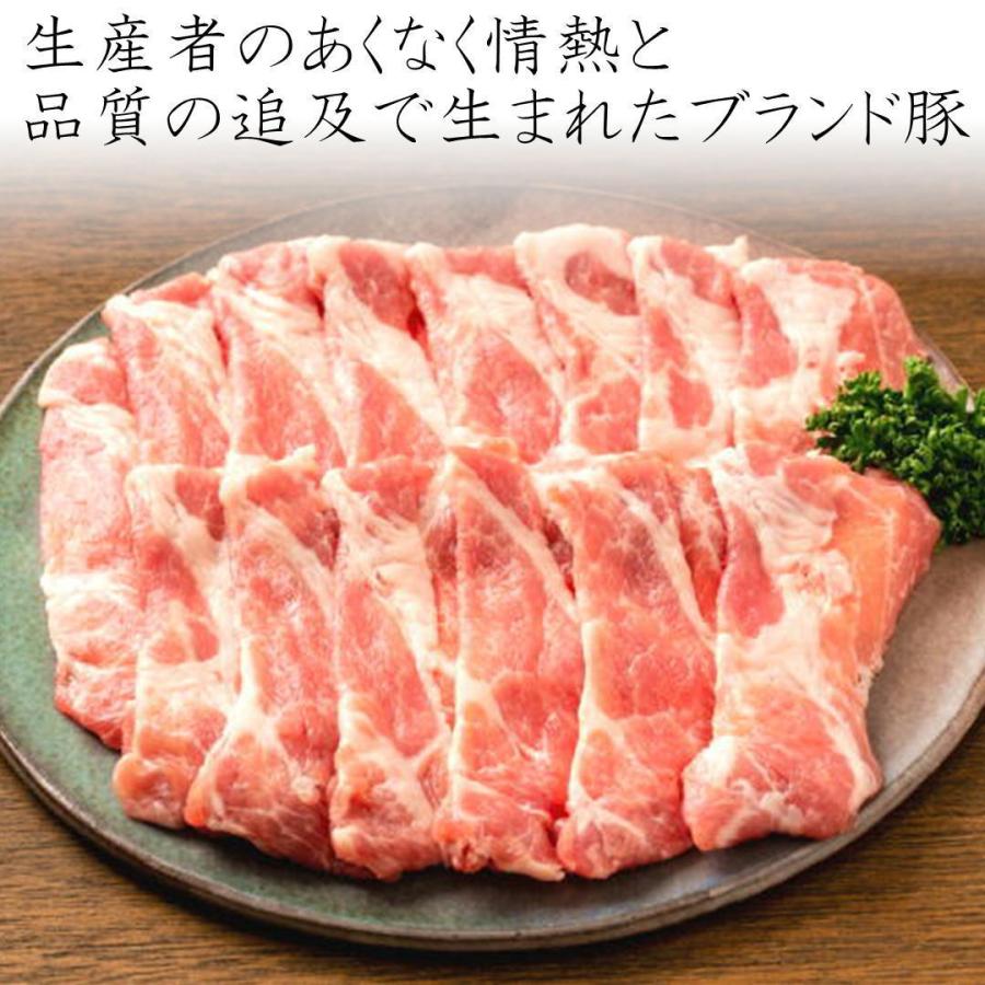 JAPANX しゃぶしゃぶ用 肩ロース 豚肉 1kg(500g×2) 宮城 国産 お歳暮 お中元 ギフト お祝いジャパンエックス