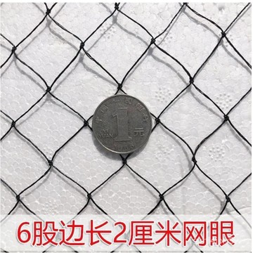 黑色防鳥網 尼龍網 【6股2cm網眼】果樹網防鳥用網魚塘養殖尼龍網養殖戶外天網