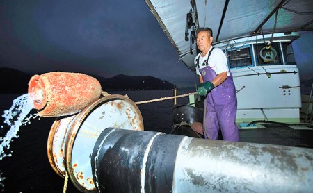 三原やっさタコ浜ゆで刺身（大）約260g 広島 三原市漁業協同組合