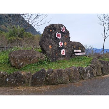 嘉義旅遊｜阿里山國家森林遊樂區.奮起湖迷糊步道.梅園樓觀景飯店二日｜中部出發_26TS522N4G