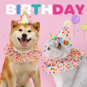 免運🍀寵物生日套組領巾🍀狗貓飾品 項圈 造型項圈 貓項圈 狗項圈 寵物圍脖 寵物飾品