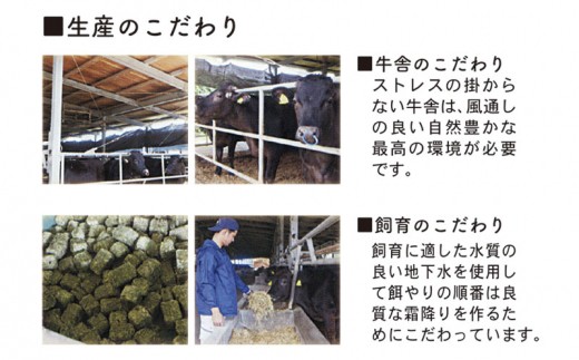 A5・A4　沖縄県産黒毛和牛《山城牛》贅沢3種セット（各600g）