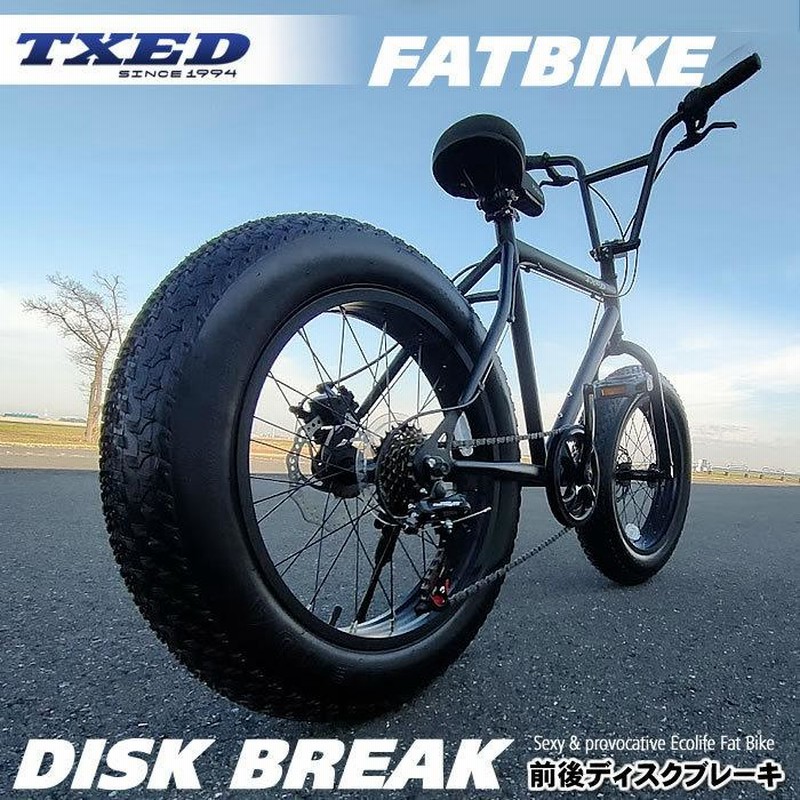 送料無料】ファットバイク ビーチクルーザー 自転車 20インチ 前後