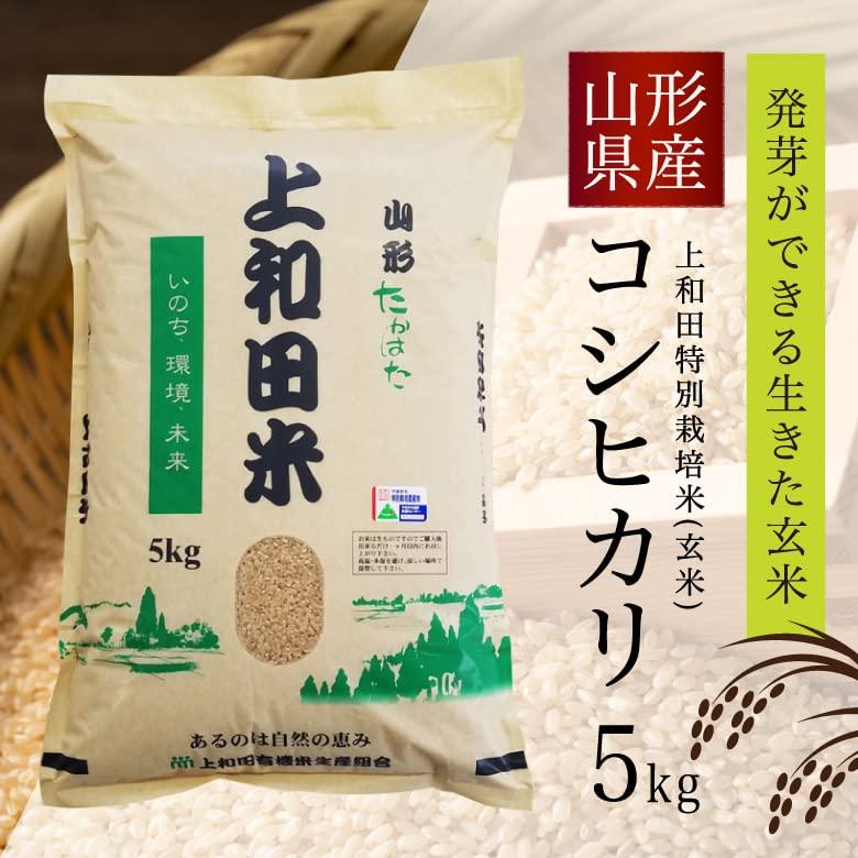 ヘルシーマルシェ 上和田米 コシヒカリ 玄米 (5kg   令和5年産) 山形県産 発芽ができる生きた玄米 お米 上和田特別栽培米