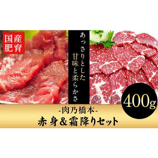 ふるさと納税 熊本県 大津町 馬刺・赤身霜降りセット 計400g 《60日以内に順次出荷(土日祝除く)》 赤身馬刺し 霜降り馬刺し 肉乃橋本 冷凍 ブロック