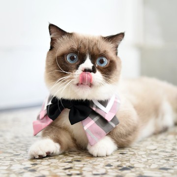 夏洛特領巾丨BlackPink丨英倫風領巾