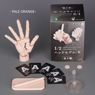 ⭐臺灣出貨⭐超可動1/2人手模型盒蛋帶特典支架畫畫素描標準右手扭蛋娃娃