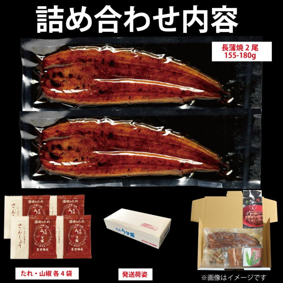 うなぎ 蒲焼き 国産 大155-180g×2尾 （大盛2人前） 送料無料 プレゼント 贈り物 お歳暮 ギフト