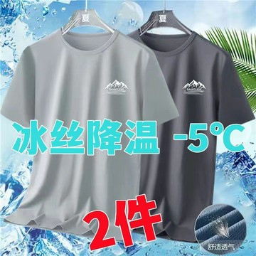 夏季冰丝短袖T恤男速干网眼宽松大码男装百搭纯色白色T恤衫短袖男 短袖T恤 印花T恤 男T恤 純棉T恤 大尺碼T恤 短袖男