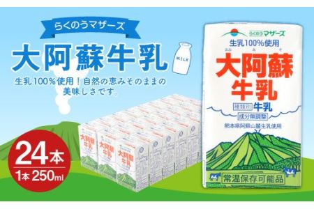 らくのうマザーズ 大阿蘇 牛乳 3.6％ 250ml×24本 成分無調整