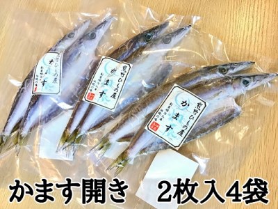 熊野の老舗干物屋　畑辰商店×4袋