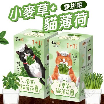 【299起免運】Eat s 易特廚 新鮮貓草 小麥草+貓薄荷 雙拼組 DIY 新鮮貓草 貓咪 紓壓 寵物【旺生活】