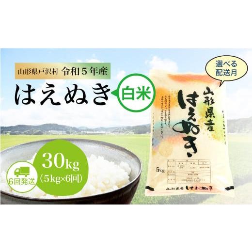 令和5年産 山形県戸沢村 厳選 はえぬき   30kg 定期便（5kg×1カ月ごと6回お届け） ＜配送時期指定可＞