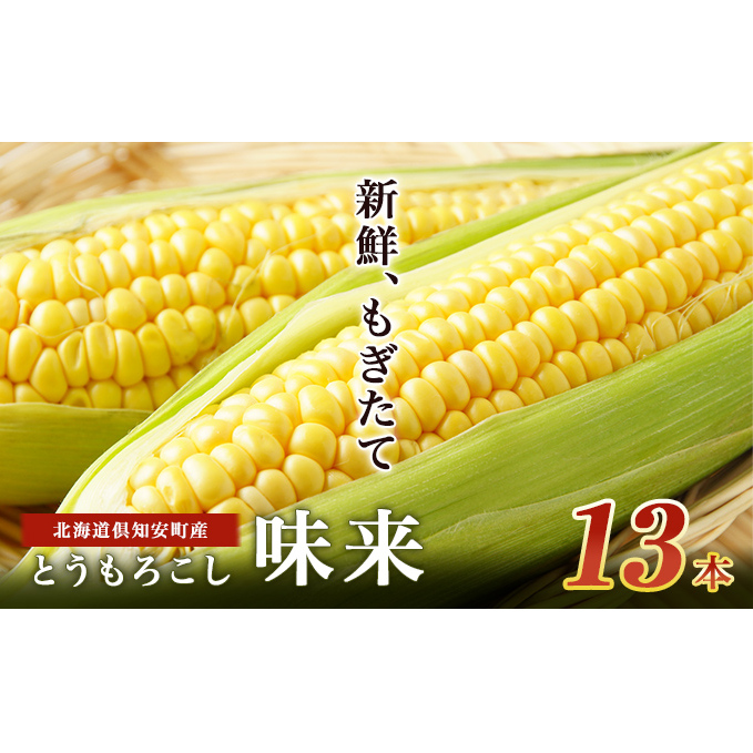 北海道産 朝もぎ イエロー とうもろこし 味来 みらい 2Lサイズ 13本 約5kg 大きめ 夏野菜 とうきび 新鮮 野菜 トウモロコシ ギフト 産地直送 コーン 産直 グリーンアースファーム