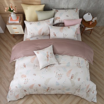 雙人薄被套加大床包組/美國棉授權品牌 300織/ 狐狸艾莉森 [鴻宇] 台灣製 - 2306可可