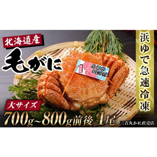 ふるさと納税 北海道 白老町 北海道産 冷凍ボイル毛ガニ (700g-800g前後) 1尾