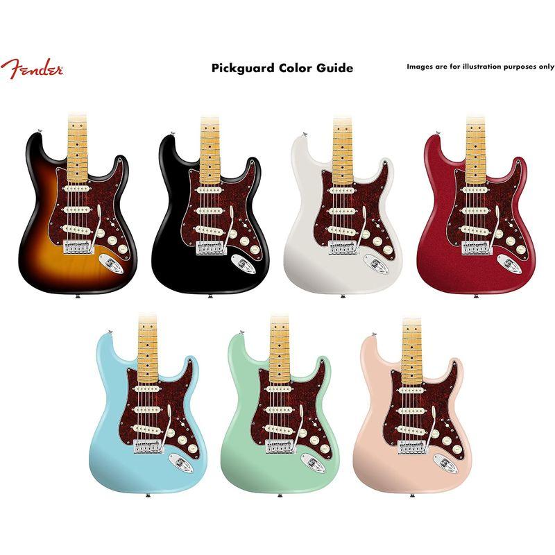 Fender ギターパーツ Pre-Wired Strat Pickguard, Custom Shop Custom '69 SSS, T