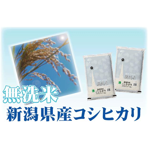 新米 無洗米 10kg 5kg×2 新潟県産 コシヒカリ 令和5年産 送料無料 お米マイスター厳選 HACCP認定工場