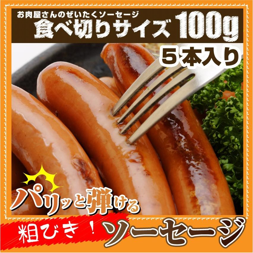 ソーセージ ウインナー 100ｇ 惣菜 ジューシー 粗挽き 粗びき あらびき ポーク 豚 バーベキュー 焼肉 焼くだけ 弁当＊当日発送対象