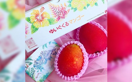 沖縄県糸満産の「濃厚アップルマンゴー」1kg　オリジナル贈答用化粧箱入り　生産者：ゆいぐくるマンゴー