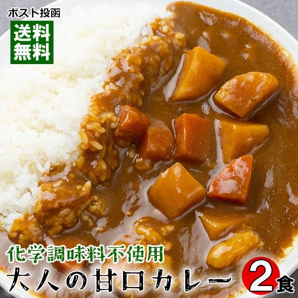 大人の甘口カレー（ビーフカレー） 2人前お試しセット 化学調味料無添加 国産野菜使用