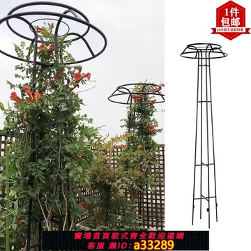 {可打統編 超低價}蘑菇爬藤架園藝花架庭院花園傘型鐵藝爬藤花架鐵線蓮藍雪花素馨花