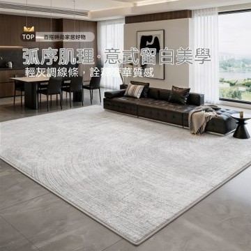 【匠俱】意式極簡風地毯160x230cm 客廳高級灰地墊 防潑水免洗易打理 北歐現代風波斯絨地墊