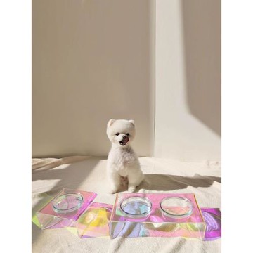 meoof貓碗輕奢雙碗亞克力寵物碗炫彩玻璃狗碗高腳保護頸椎狗食盆