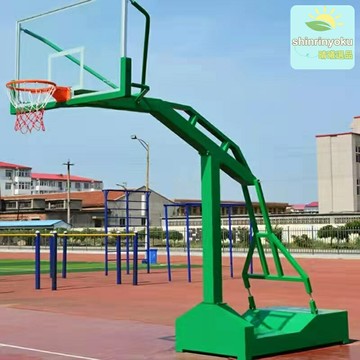 【專業比賽級】移動籃球架 戶外籃球架 凹箱籃球架 成人籃球架 學校籃球架 可調節高度 加厚鋼材 室外訓練比賽專用