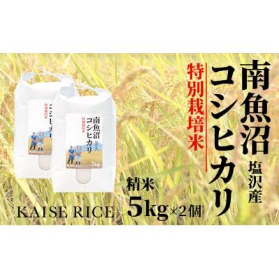 ふるさと納税 南魚沼市 南魚沼産しおざわコシヒカリ(従来品種)精米5kg×2個全12回