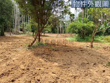 北中寮中華電信旁平坦休閒果園農地｜南投縣中寮鄉爽文段