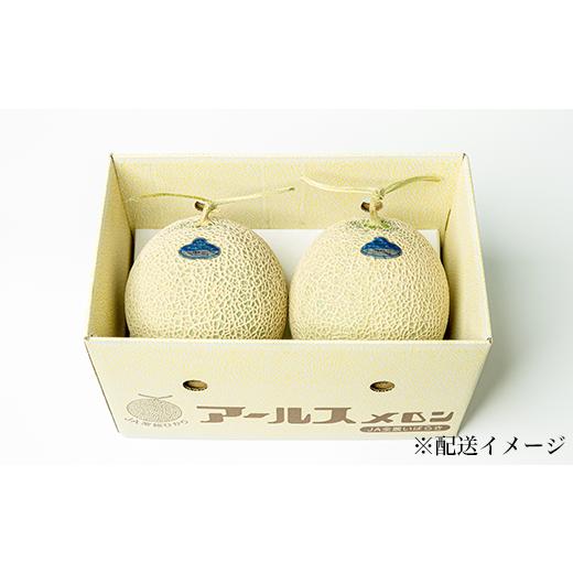 ふるさと納税 茨城県 下妻市 12-11茨城県産アールスメロン約2.5kg（2個）