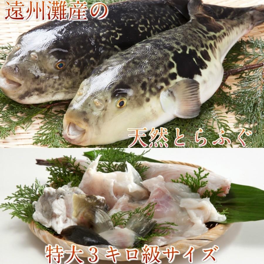 とらふぐ鍋 天然 とらふぐ ふぐ刺身 ふぐ刺し 2皿 ひれ酒 セット お歳暮 送料無料 お取り寄せ ふぐ鍋  フグ刺し トラフグ 鍋 お取り寄せ 賞味期限　冷凍で10日