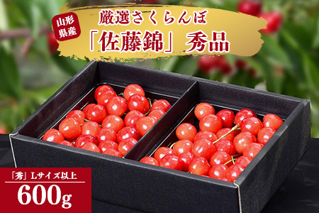 令和6年産 さくらんぼ「 佐藤錦 」600g (300g×2パック) 秀品 Lサイズ以上 2024年産 山形県産 山形産 　020-A-AF001