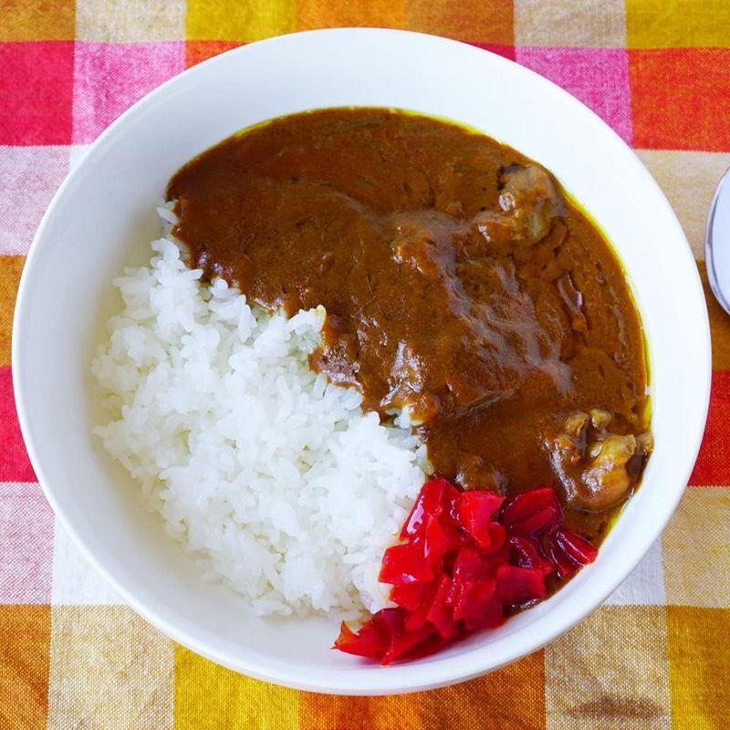 国産牛すじカレ 鳥取和牛 牛すじカレー 250g 10箱セット 鳥取県 ご当地カレー レトルトカレー カレールー