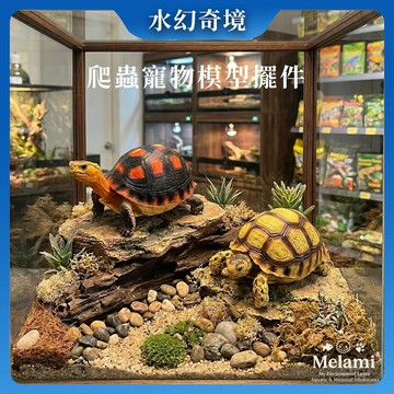 【水幻奇境】仿真陸龜模型 爬蟲擺件 烏龜模型 蘇卡達 黃緣閉殼龜 陸龜 攝影道具 魚缸造景 療癒小物 收藏玩偶