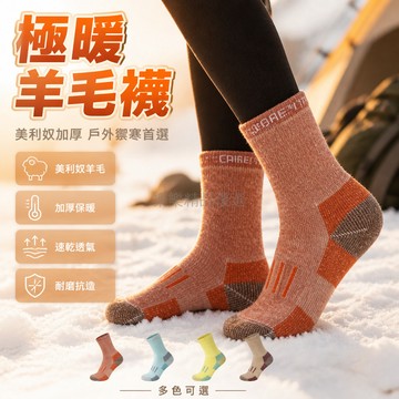 台灣出貨✨ 羊毛襪 美利奴羊毛 加厚 速乾透氣 保暖 戶外運動 徒步登山 滑雪 秋冬適用