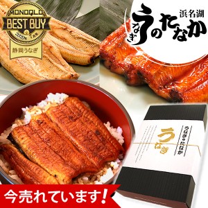 お歳暮 ギフト うなぎ 国産 お祝い 誕生日プレゼント グルメ 蒲焼き 国産うなぎ 送料無料 うなぎのたなか 鰻 ギフトセット 静岡 内祝い