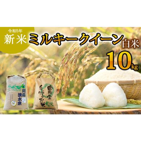 ふるさと納税 令和5年産 阿蘇のお米 ミルキークイーン10kg 1袋 白米 熊本県阿蘇市