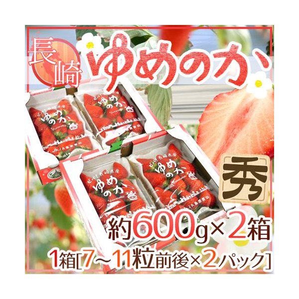 長崎産イチゴ ”ゆめのかいちご” 約600g×2箱（1箱あたり約300g×2pc） 送料無料