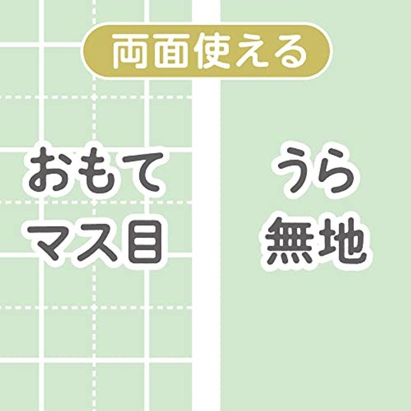 共栄プラスチック 下敷き しっかりシタ字キ B5判 メロン SHS-B5-01