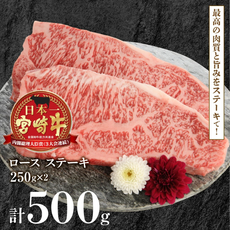 宮崎牛 ロース ステーキ 250g×2 計500g　N0147-ZB117