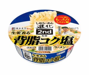 寿がきや 生姜香る 背脂コク塩ラーメン 109g×12個入｜ 送料無料